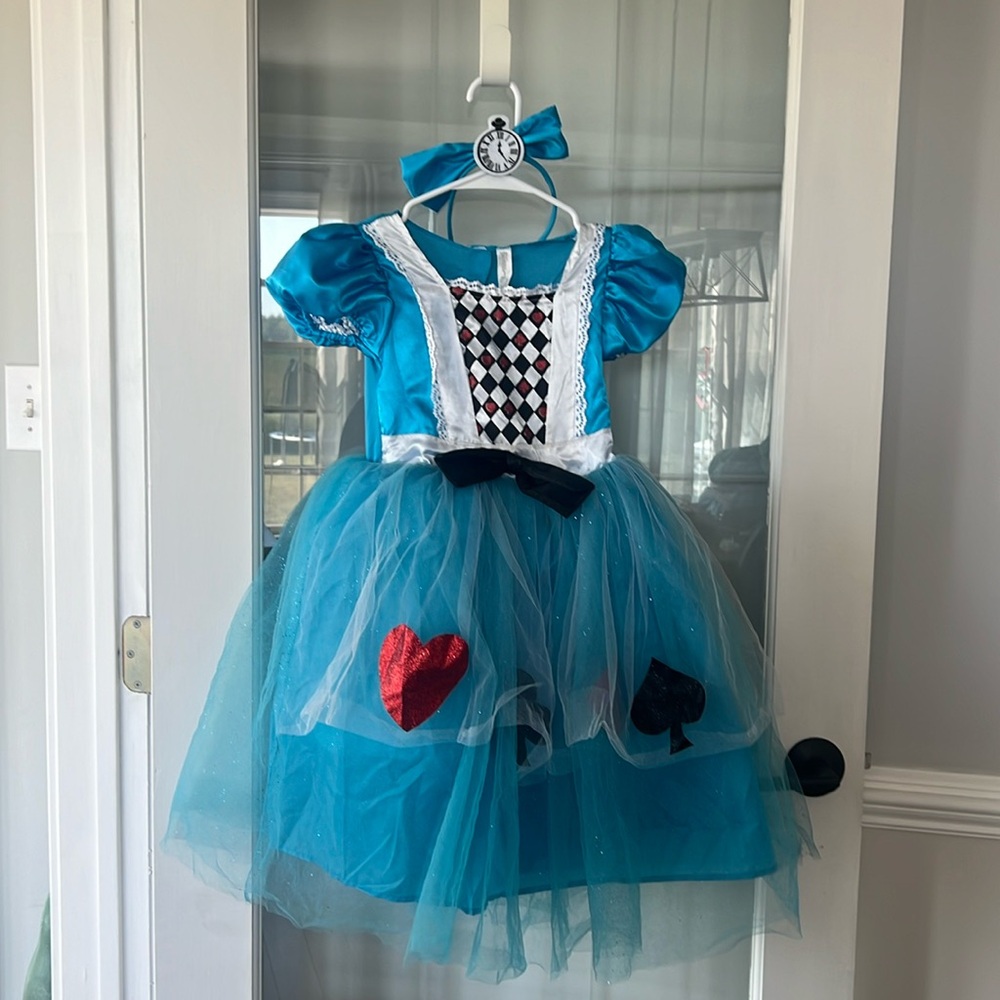 COPY - Alice in Wonderland Costume